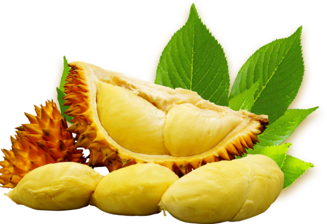 durian