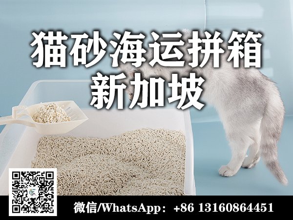 猫砂海运到新加坡