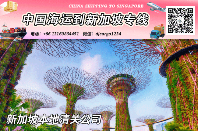 新加坡清关公司