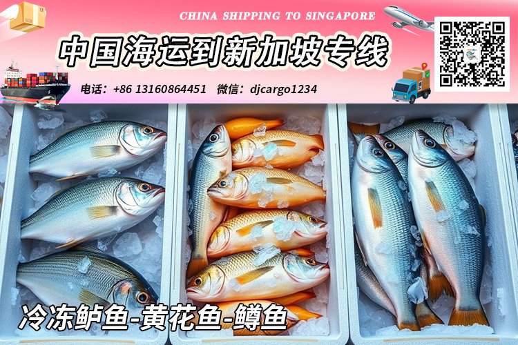 【全程冷链-18℃】冷冻鲈鱼-黄花鱼-鳟鱼海运到新加坡SG