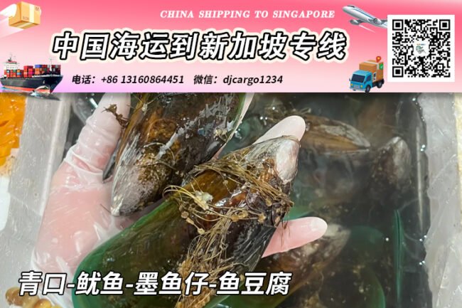 【全程冷链】冷冻青口-鱿鱼-墨鱼仔-鱼豆腐海运到新加坡SG