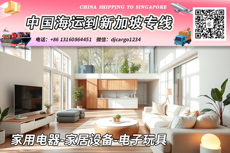 家用电器-家居设备-电子玩具海运整柜拼箱到新加坡→小詹