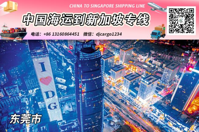 东莞海运整柜到新加坡清关派送，帮代付人民币货款服务