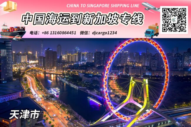天津海运20GP/40HQ整柜到新加坡清关、拆柜、派送