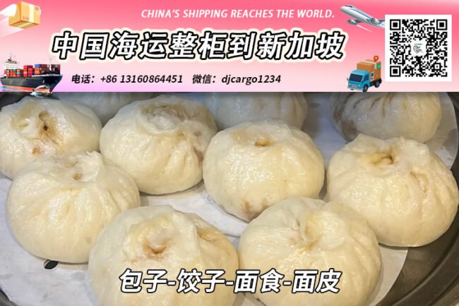 包子-饺子-面食-面皮海运整柜拼箱到新加坡全程-18°