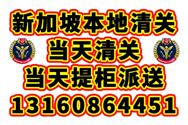 【秒清】中国海运整柜到新加坡清关提柜派送一条龙服务