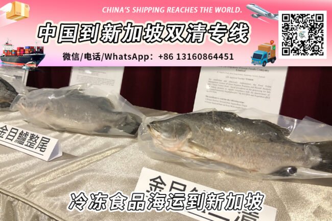 中国冷冻食品海运整柜/拼箱到新加坡冷链-18度