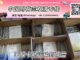 面膜卡航运输到荷兰专线DDP时效30天→【欧盟专线】