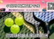 匹克球机器人海运整柜/拼箱到欧洲双清到门→递接物流