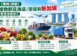 【整柜/拼箱】植物鲜花海运/空运到新加坡双清含税到门